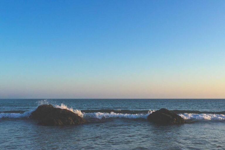 Nulla nobis ducimus aut